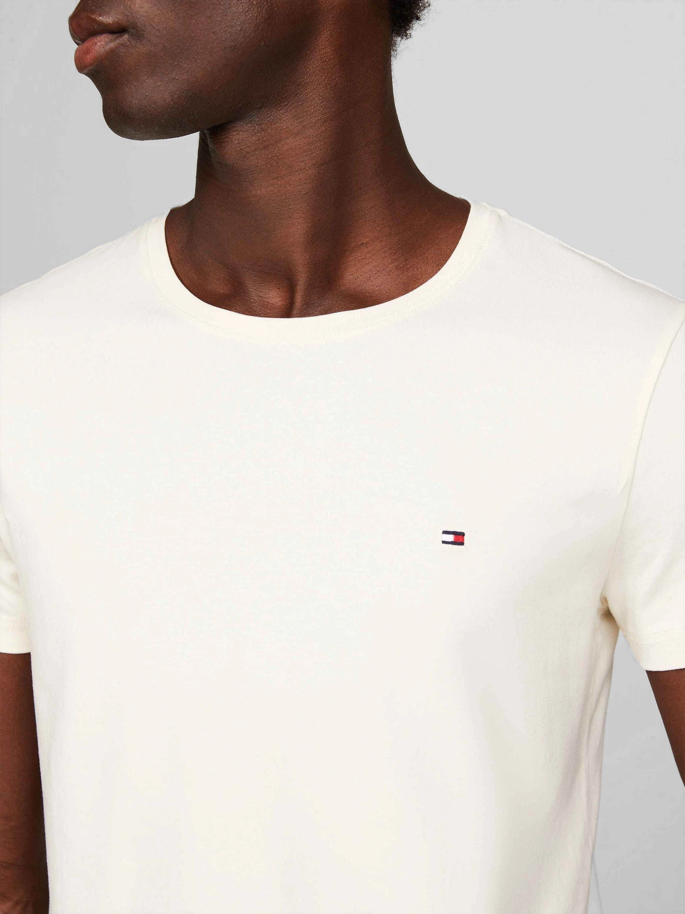 Футболки і поло Tommy Hilfiger модель MW0MW10800-AEF Футболки і поло Tommy Hilfiger модель MW0MW10800-AEF Фото