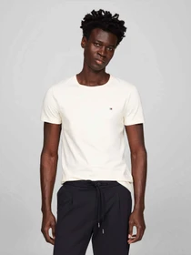 Футболки і поло Tommy Hilfiger модель MW0MW10800-AEF Фото