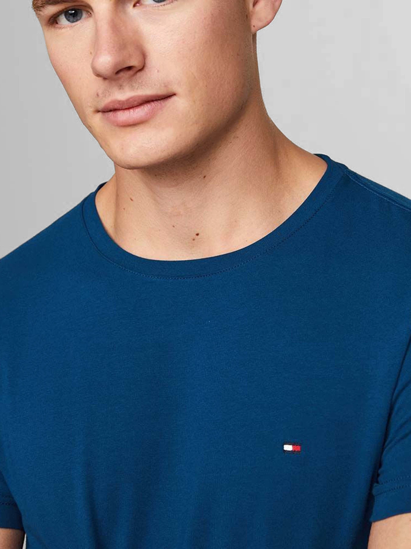 Футболки и поло Tommy Hilfiger модель MW0MW10800-C5J Фото