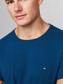 Футболки и поло Tommy Hilfiger модель MW0MW10800-C5J Фото