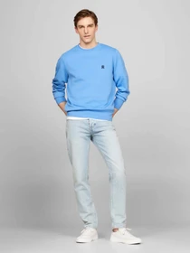 Худі та світшоти Tommy Hilfiger модель MW0MW34400-C30 Фото