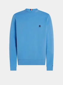 Худі та світшоти Tommy Hilfiger модель MW0MW34400-C30 Фото