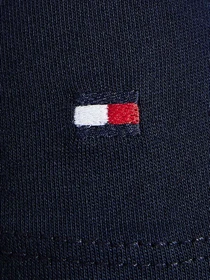 Футболки і поло Tommy Hilfiger модель MW0MW34419-DW5 Фото