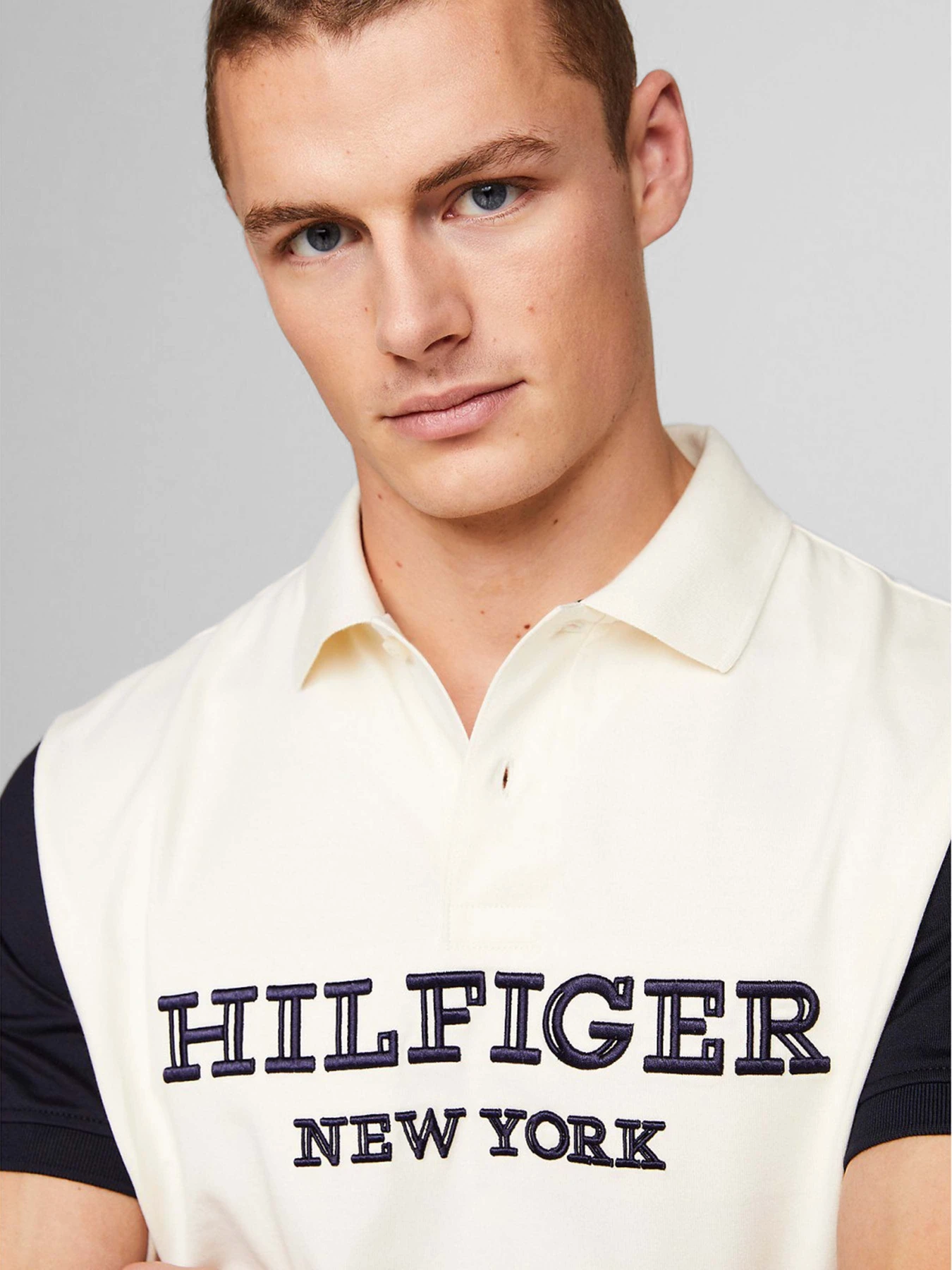 Футболки і поло Tommy Hilfiger модель MW0MW34751-DW5 Фото