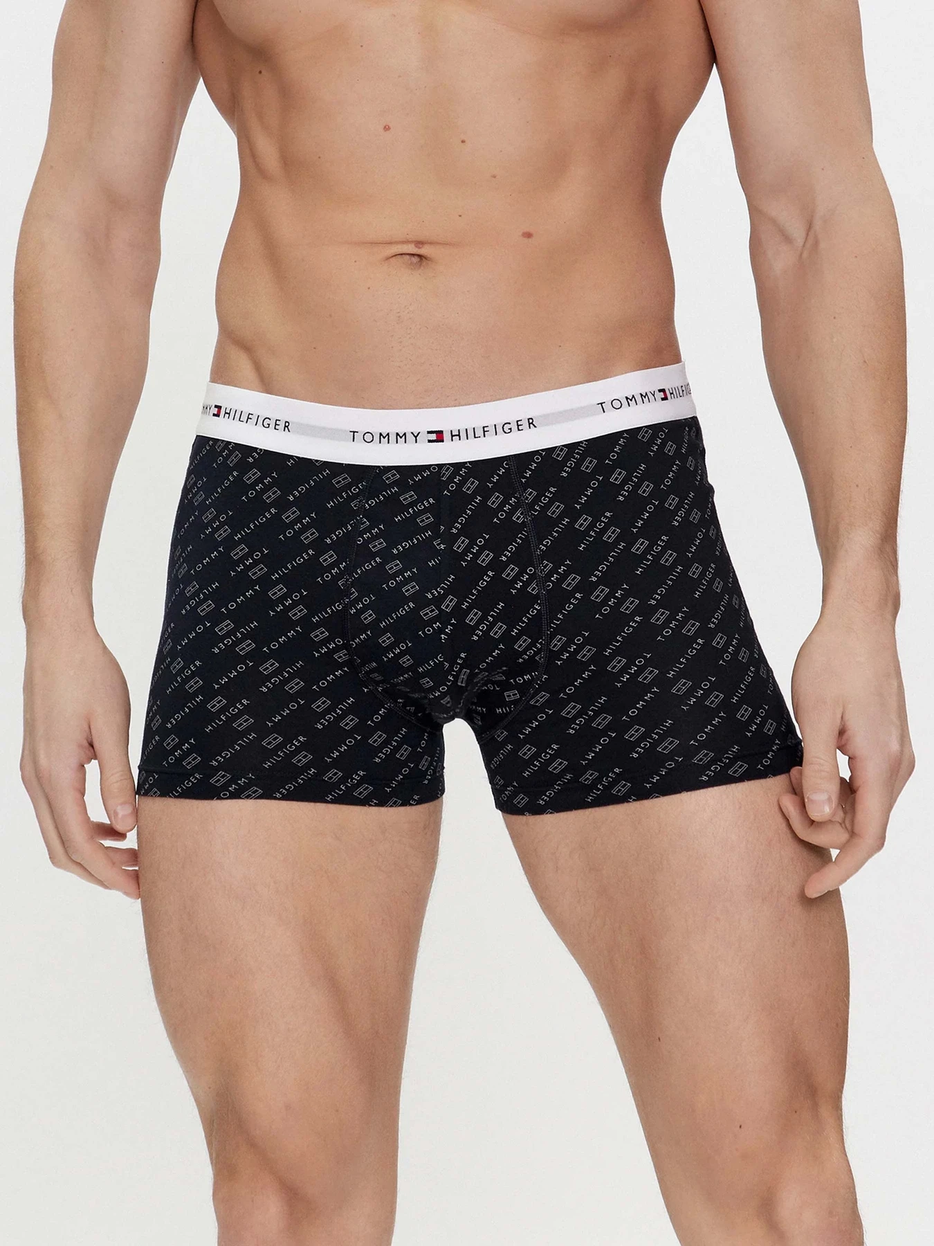 Нижнее белье Tommy Hilfiger модель UM0UM02768-0Y1 Фото