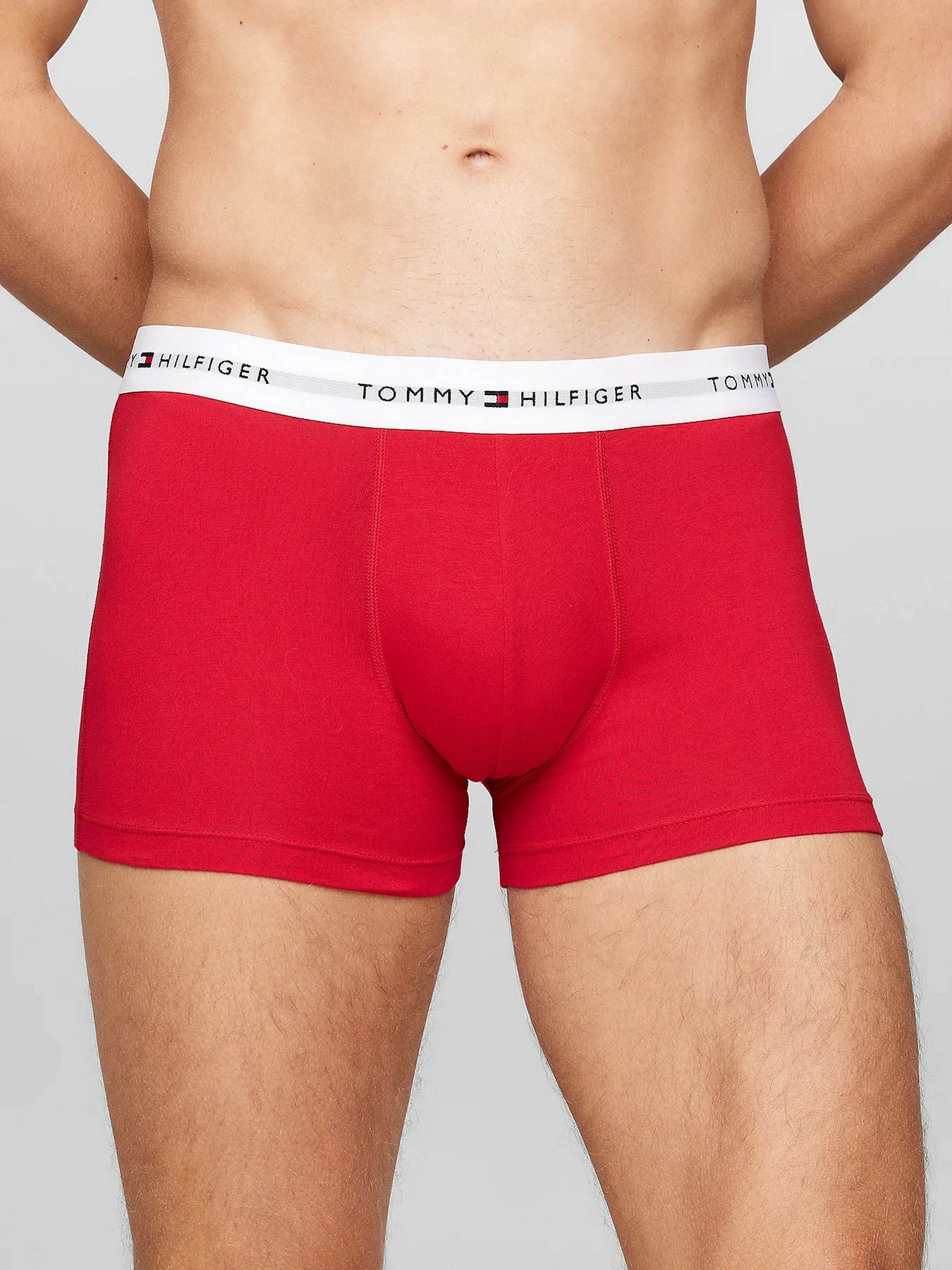 Нижня білизна Tommy Hilfiger модель UM0UM02768-0W6 Нижня білизна Tommy Hilfiger модель UM0UM02768-0W6 Фото