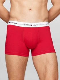 Нижня білизна Tommy Hilfiger модель UM0UM02768-0W6 Фото