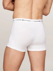 Нижня білизна Tommy Hilfiger модель UM0UM02768-0W6 Фото