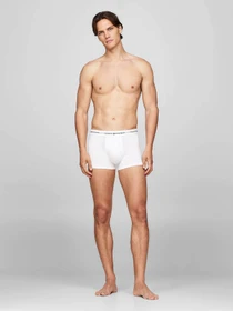 Нижня білизна Tommy Hilfiger модель UM0UM02768-0W6 Фото