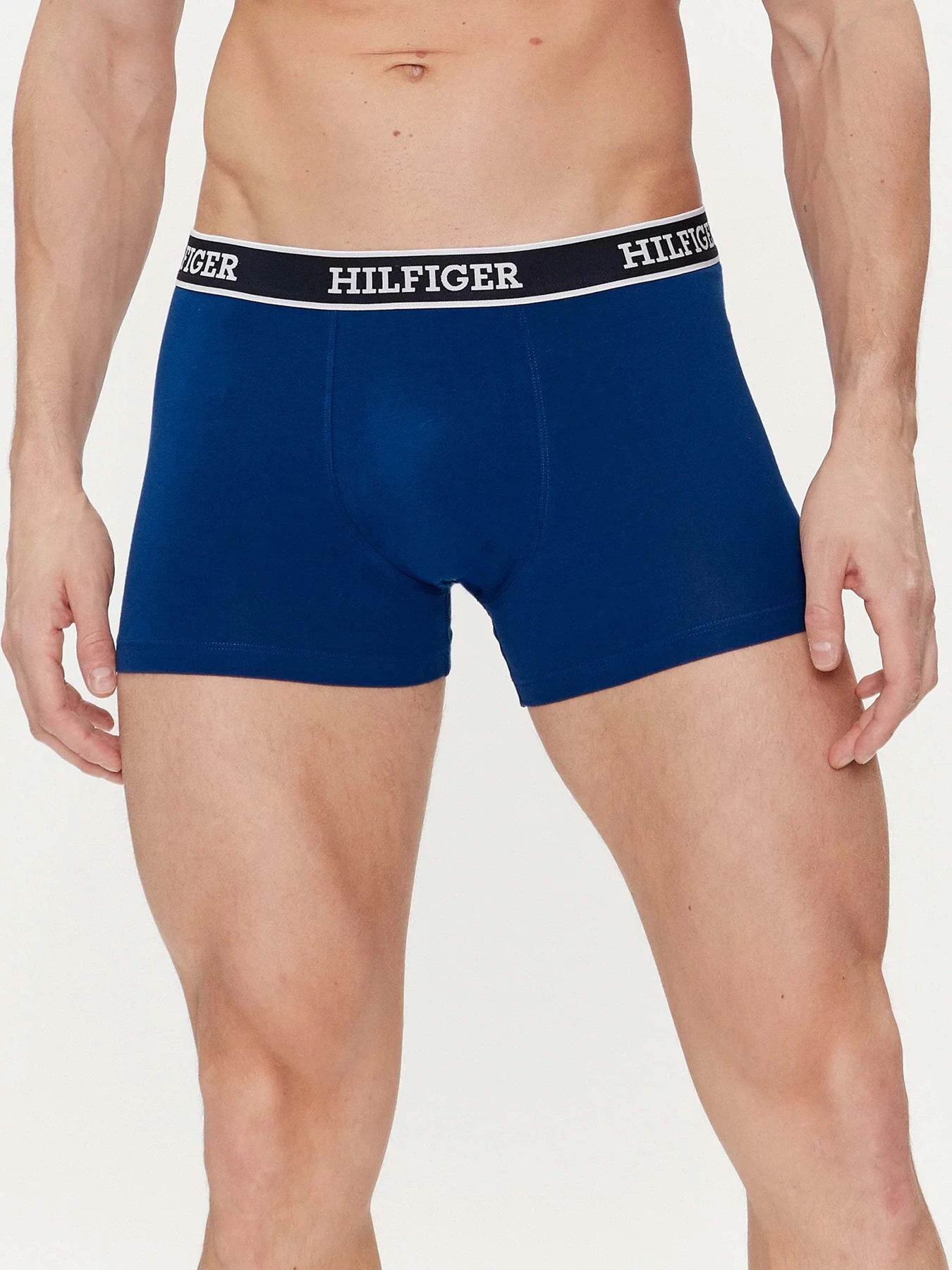 Нижнее белье Tommy Hilfiger модель UM0UM03185-0YZ Нижнее белье Tommy Hilfiger модель UM0UM03185-0YZ Фото