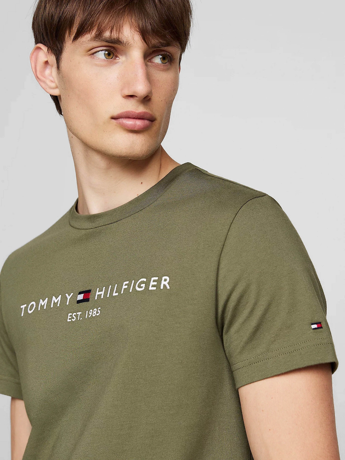 Футболки і поло Tommy Hilfiger модель MW0MW11797-PLI Футболки і поло Tommy Hilfiger модель MW0MW11797-PLI Фото