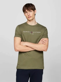 Футболки і поло Tommy Hilfiger модель MW0MW11797-PLI Фото