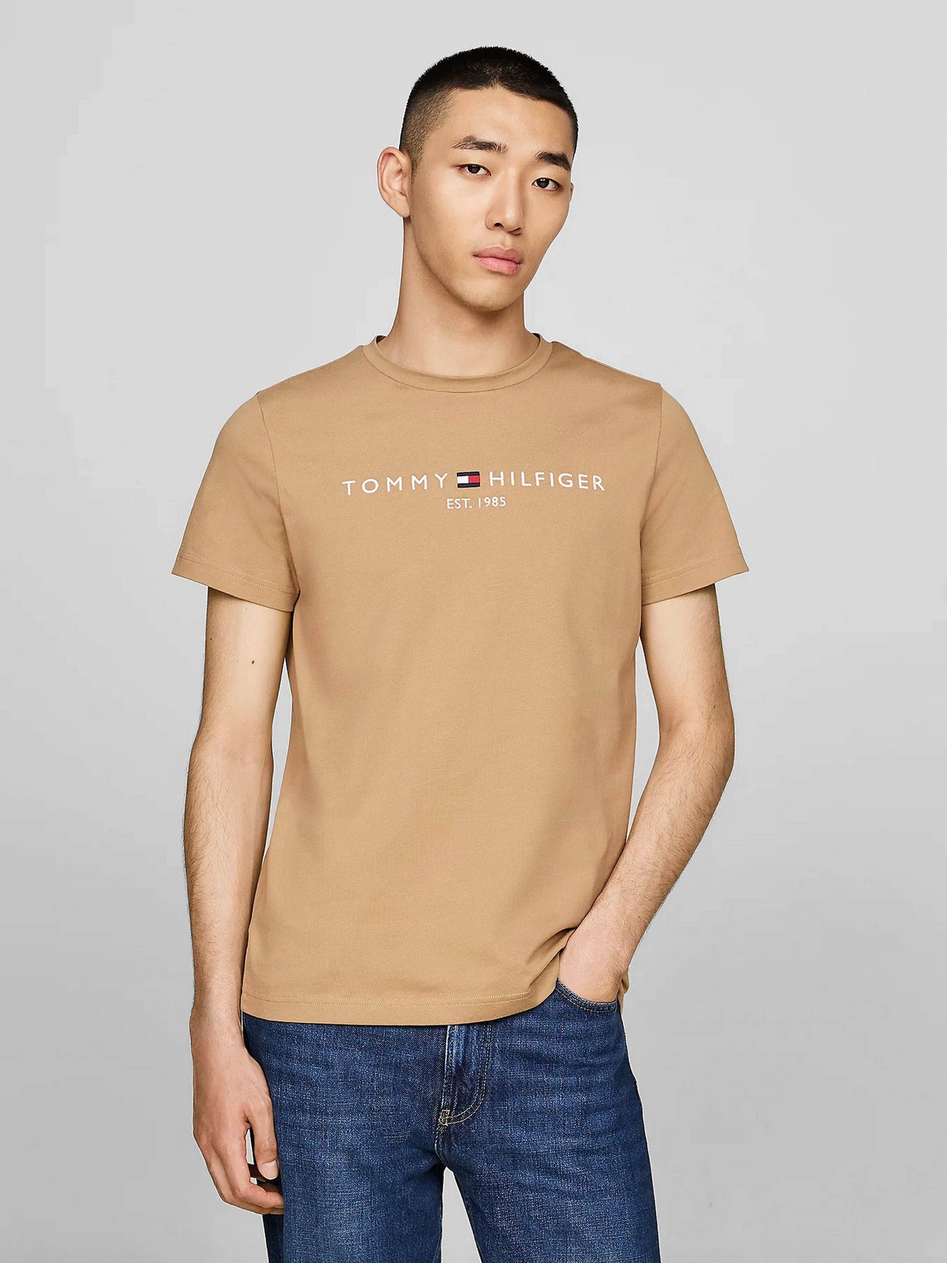 Футболки і поло Tommy Hilfiger модель MW0MW11797-RBC Футболки і поло Tommy Hilfiger модель MW0MW11797-RBC Фото