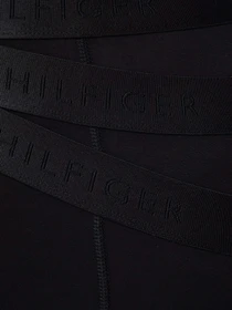 Нижня білизна Tommy Hilfiger модель UM0UM02760-0R7 Фото