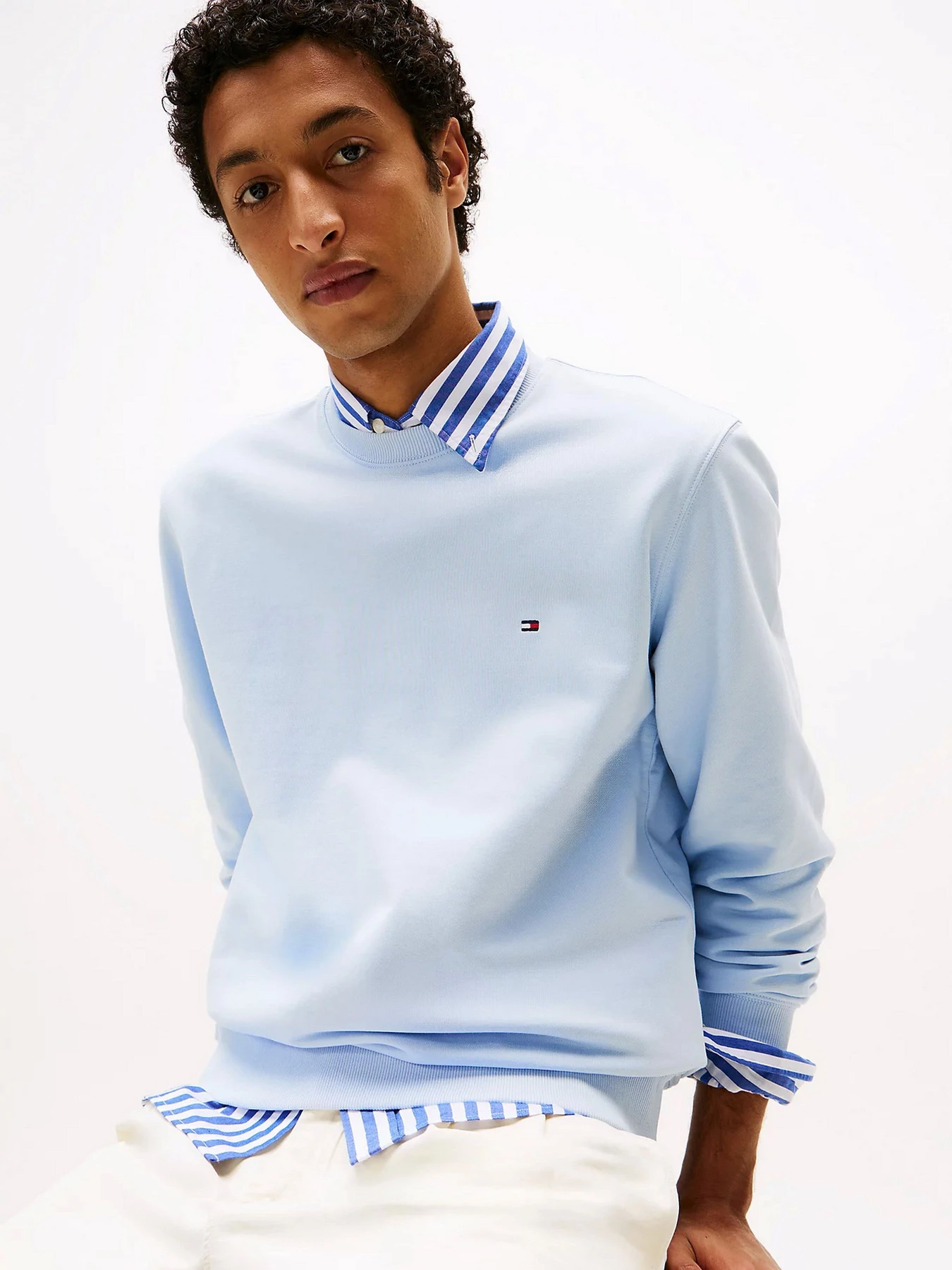 Худі та світшоти Tommy Hilfiger модель MW0MW37237-C1O Худі та світшоти Tommy Hilfiger модель MW0MW37237-C1O Фото