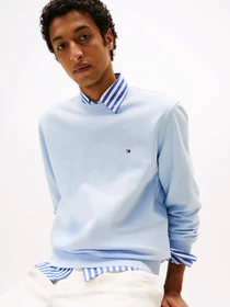 Худі та світшоти Tommy Hilfiger модель MW0MW37237-C1O Фото