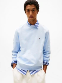 Худі та світшоти Tommy Hilfiger модель MW0MW37237-C1O Фото