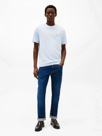 Футболки і поло Tommy Hilfiger модель MW0MW39995-C1O Фото