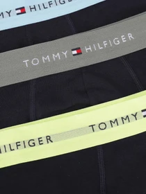 Нижня білизна Tommy Hilfiger модель UM0UM02763-0T9 Фото