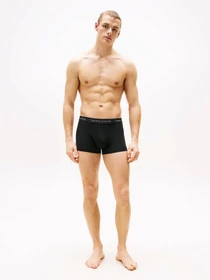 Нижня білизна Tommy Hilfiger модель UM0UM02763-0VV Фото