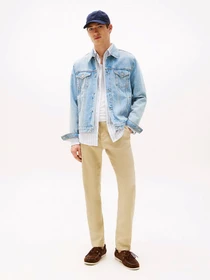 Штани Tommy Hilfiger модель MW0MW38801-RBT Фото