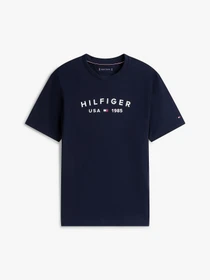 Футболки і поло Tommy Hilfiger модель MW0MW39356-DW5 Фото
