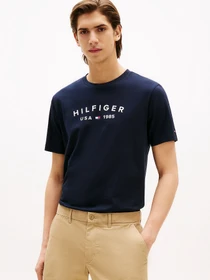 Футболки и поло Tommy Hilfiger модель MW0MW39356-DW5 Фото