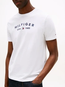 Футболки і поло Tommy Hilfiger модель MW0MW39356-YBR Фото