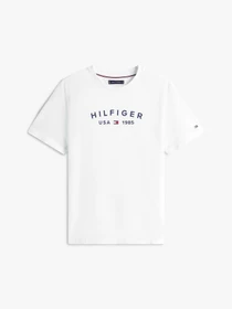 Футболки і поло Tommy Hilfiger модель MW0MW39356-YBR Фото