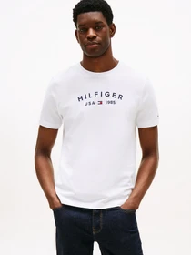 Футболки і поло Tommy Hilfiger модель MW0MW39356-YBR Фото