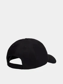 Шапки и кепки Tommy Hilfiger TJW LINEAR LOGO 6 PANEL CAP модель AW0AW16868-BDS Фото