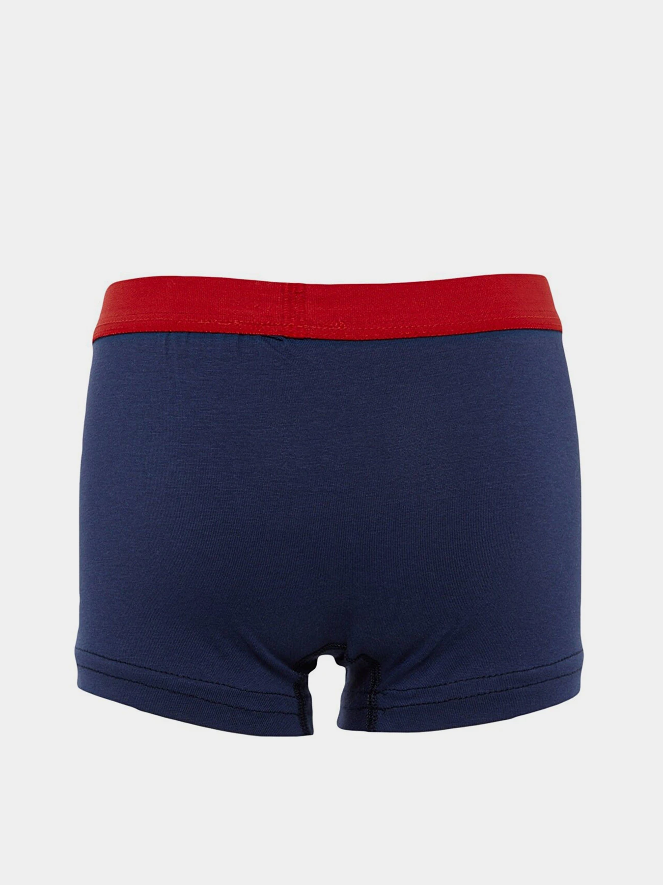 Нижнее белье Trendyol модель TKDAW23BX00000/Mavi-Yesil Нижнее белье Trendyol модель TKDAW23BX00000/Mavi-Yesil Фото