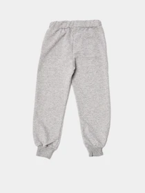 Брюки Trendyol модель TKDSS21EA0228/Gri Фото
