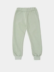 Брюки Trendyol модель TKDSS21EA0228/Mint Фото