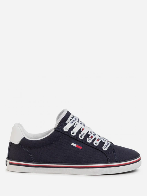 Кеди Tommy Hilfiger модель EN0EN00786-C87 Фото