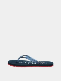 Шлёпанцы Tommy Hilfiger Rubber Thong Beach Sandal модель EN0EN01302-C87 Фото