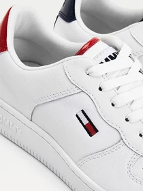 Кеды Tommy Hilfiger модель EN0EN01348-0GY Фото