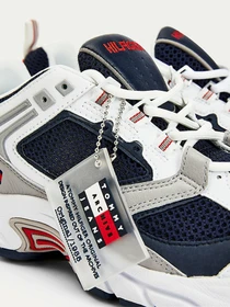Кроссовки Tommy Hilfiger модель EM0EM00666-C87 Фото
