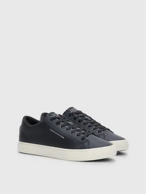 Кеды Tommy Hilfiger LOGO LACE-UP модель FM0FM04687-BDS Фото