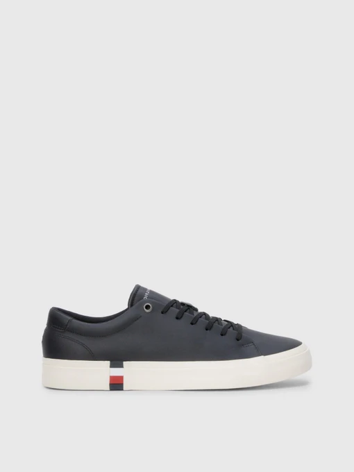 Кеды Tommy Hilfiger SIGNATURE модель FM0FM04589-BDS Фото