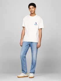 Кеды Tommy Hilfiger модель EM0EM01414-ZGR Фото