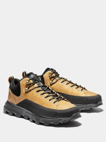 Кроссовки Timberland Treeline Low модель TB0A274M231 Фото