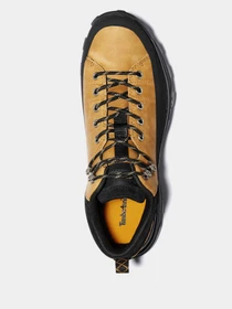 Кроссовки Timberland Treeline Low модель TB0A274M231 Фото