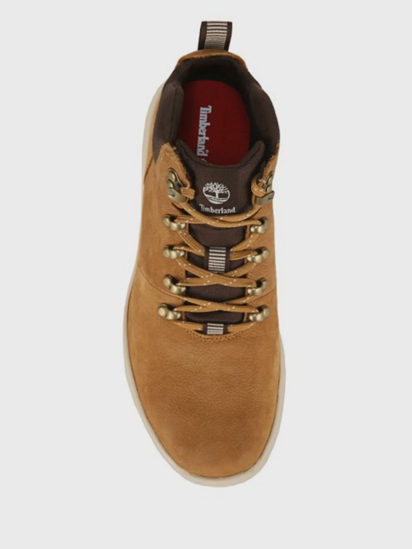 Ботинки и сапоги Timberland Boltero Hiker модель TB0A1R1V231 Фото