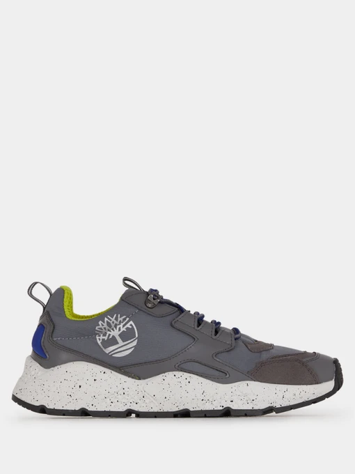 Кросівки Timberland Ripcord модель TB0A2QTH033 Фото