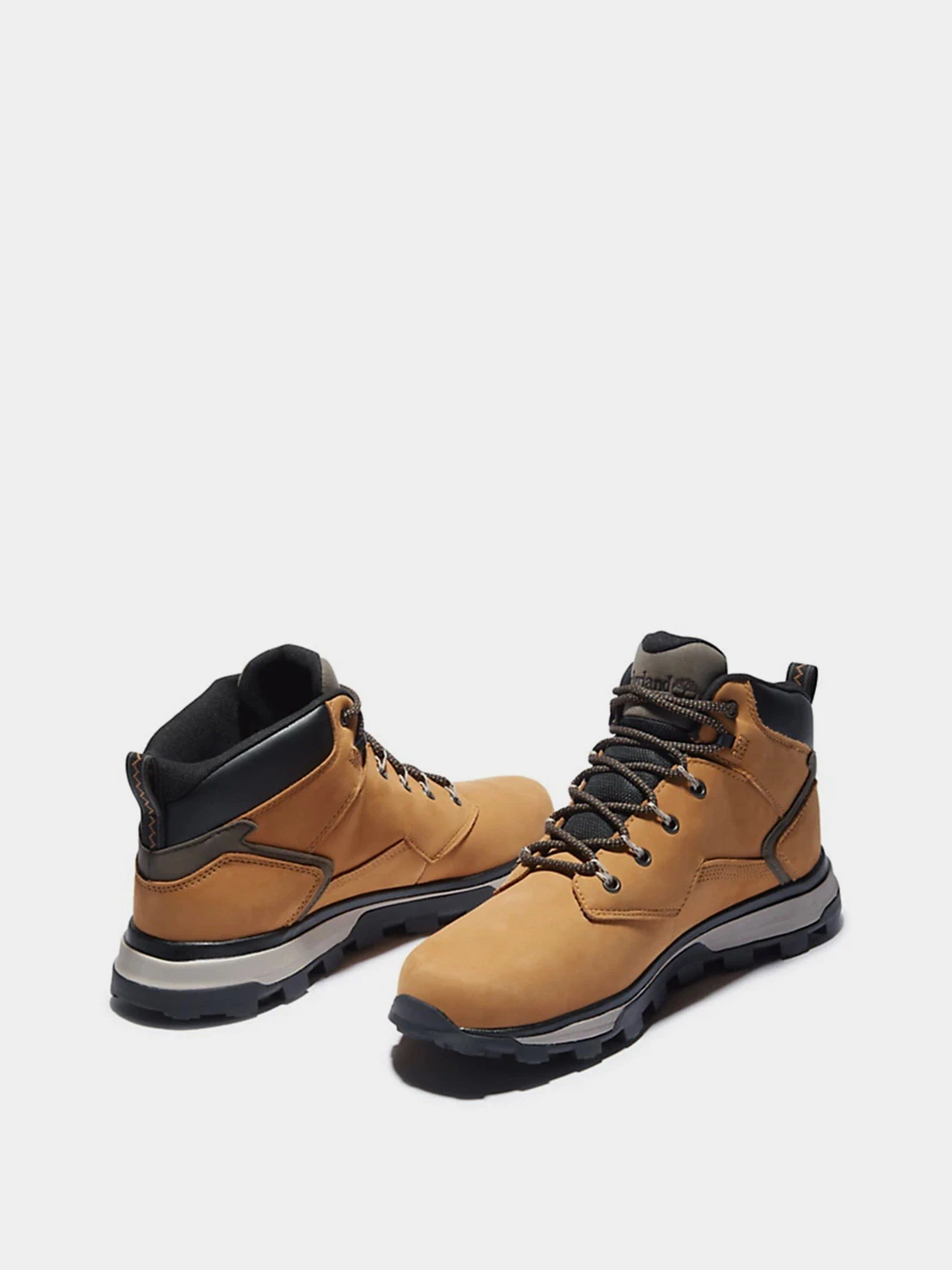 Черевики та чоботи Timberland Treeline Hiker модель TB0A2FNA231 Фото