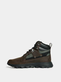 Черевики та чоботи Timberland Treeline Waterproof Hiking модель TB0A2ECH931 Фото