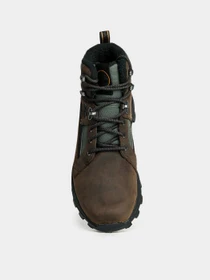 Черевики та чоботи Timberland Treeline Waterproof Hiking модель TB0A2ECH931 Фото