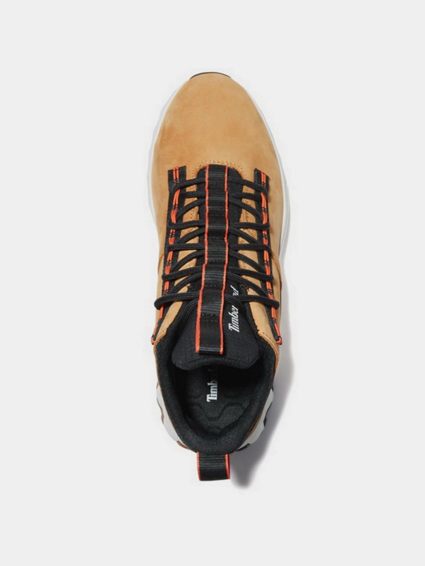 Кроссовки Timberland Tenis GreenStride Edge модель TB0A2KSH231 Фото
