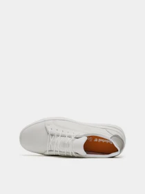 Кеды Timberland Seneca Bay модель TB0A2921L77 Фото